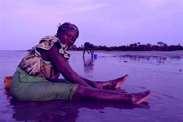Escorts Fass, Gambia — Local Companions