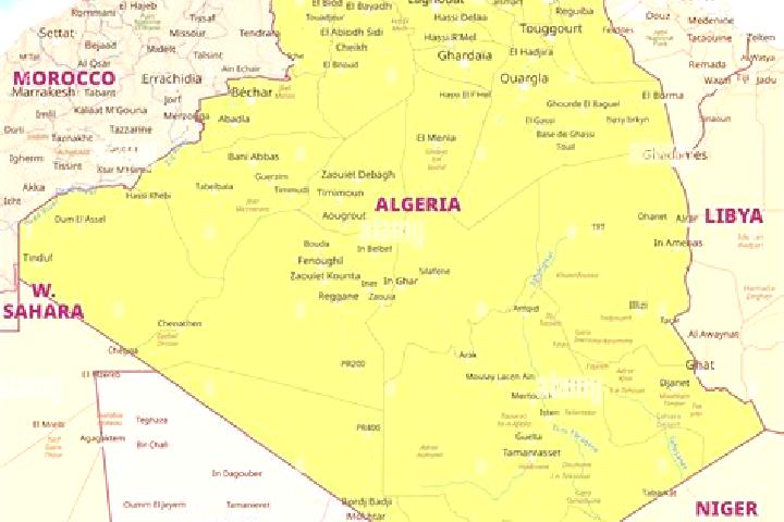Escorts Fatis, Algeria — Local Companions