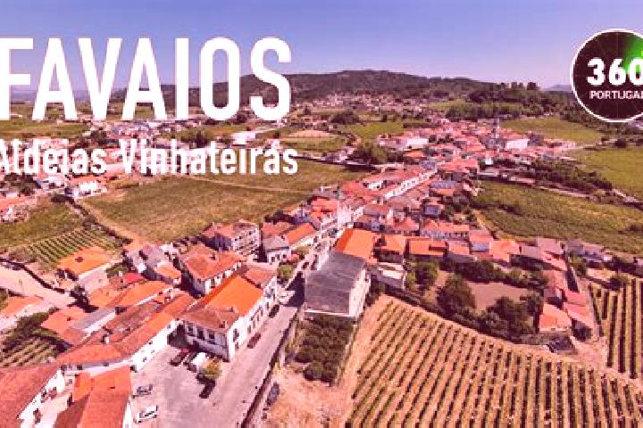 Escorts Favaios, Portugal — Local Companions