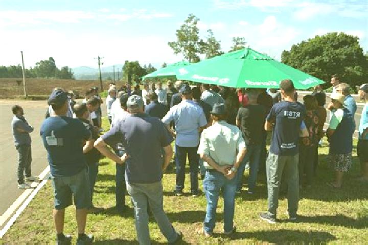 Escorts Fazenda Vilanova, Brazil — Local Companions