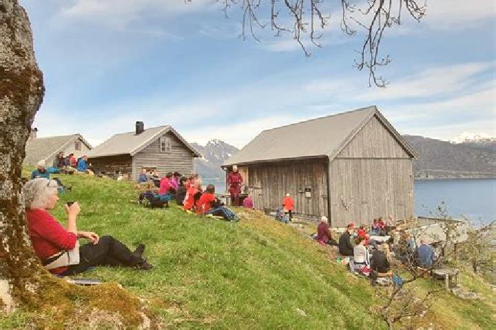 Escorts Fedje, Norway — Local Companions