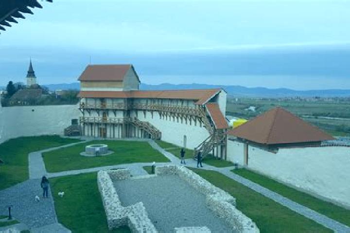 Escorts Feldioara, Romania — Local Companions