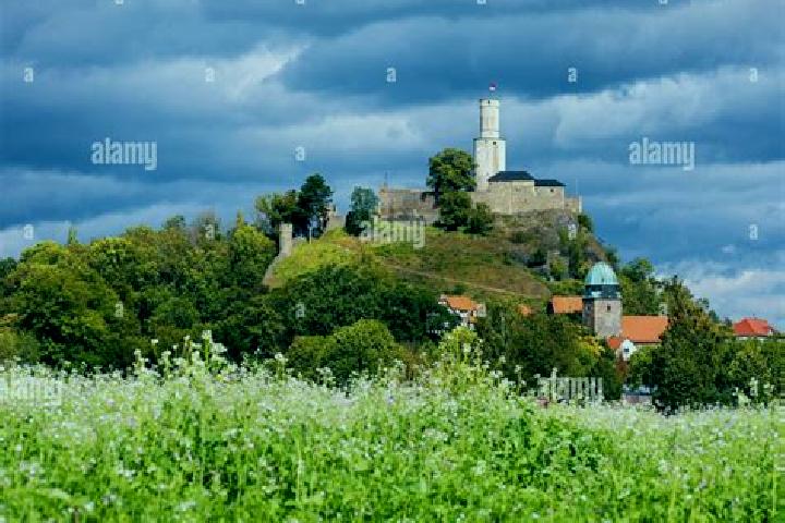 Escorts Felsberg, Germany — Local Companions
