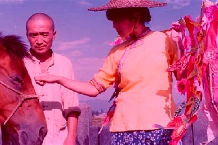 Escorts Fengliang, China — Local Companions