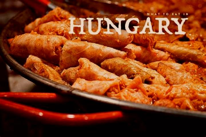 Escorts Ferencvaros, Hungary — Local Companions