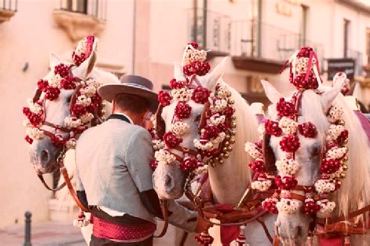 Escorts Feria, Spain — Local Companions