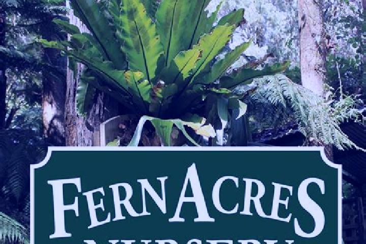 Escorts Fern Acres, United States — Local Companions