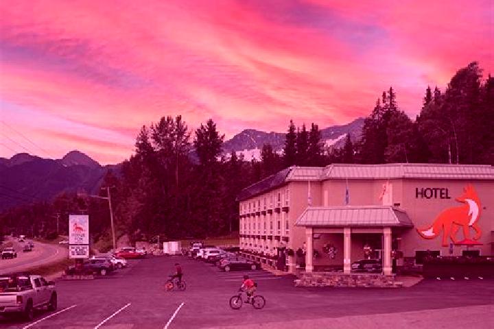 Escorts Fernie, Canada — Local Companions