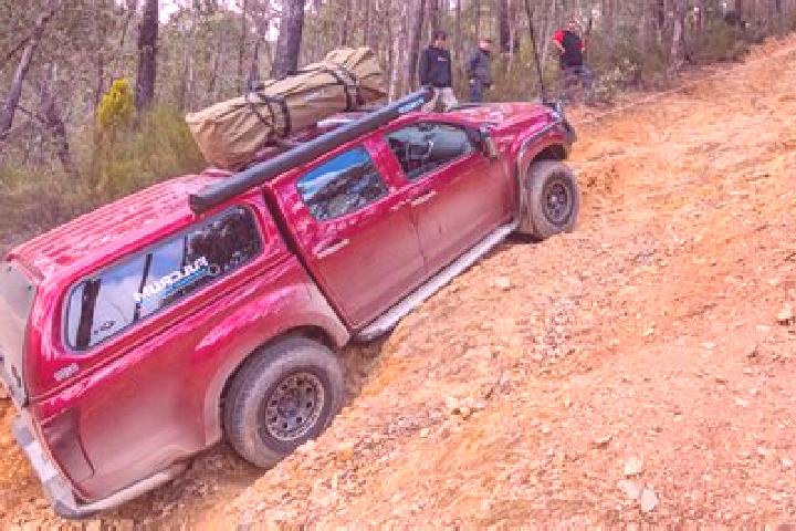 Escorts Ferntree Gully, Australia — Local Companions