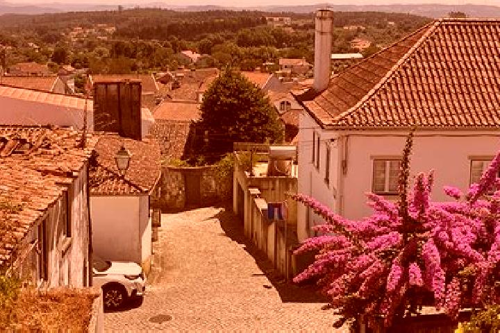 Escorts Figueiro dos Vinhos, Portugal — Local Companions