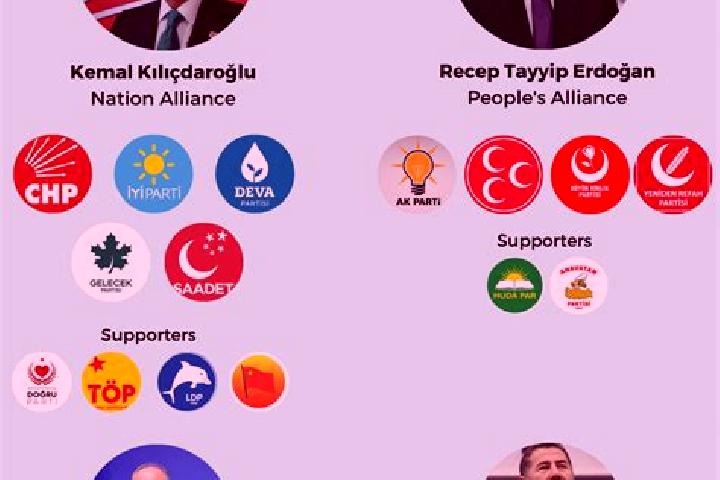 Escorts Findik, Turkey — Local Companions