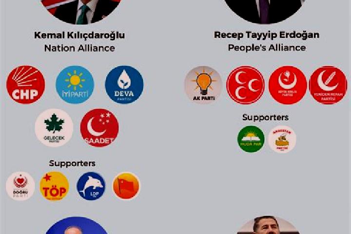 Escorts Findikli, Turkey — Local Companions