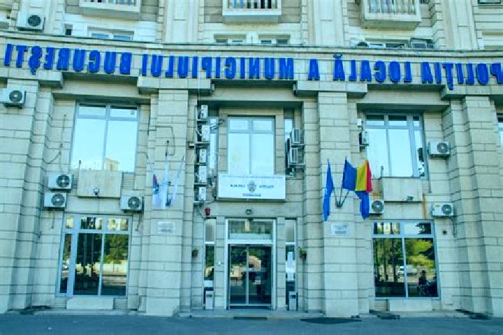 Escorts Fintesti, Romania — Local Companions