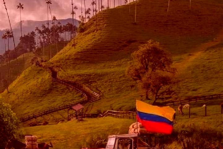 Escorts Flandes, Colombia — Local Companions
