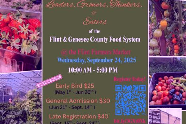 Escorts Flint, United States — Local Companions