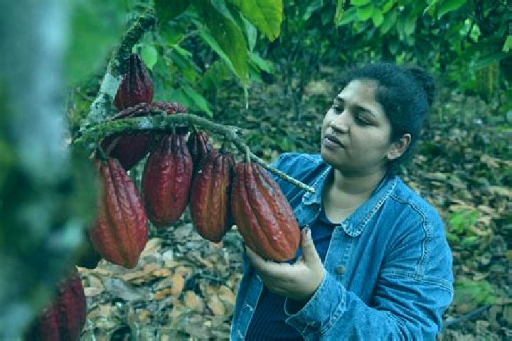 Escorts Flor de Cacao, Mexico — Local Companions