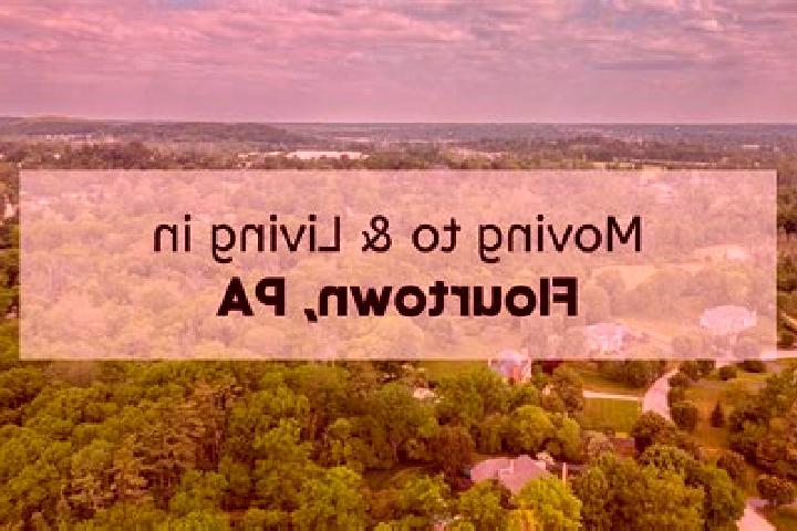 Escorts Flourtown, United States — Local Companions