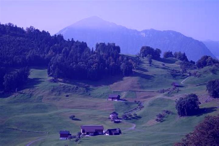 Escorts Flurlingen, Switzerland — Local Companions