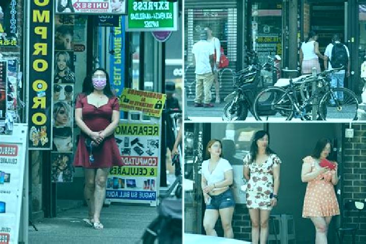 Escorts Flushing, United States — Local Companions