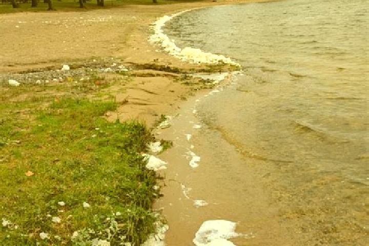 Escorts Foam Lake, Canada — Local Companions