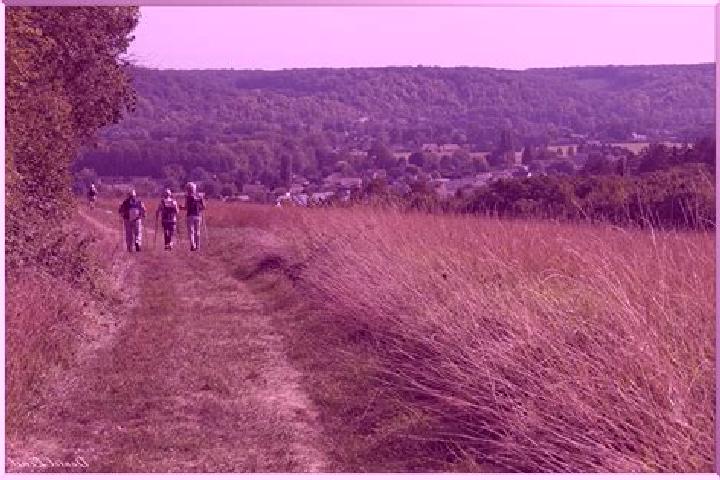 Escorts Fontaine-Heudebourg, France — Local Companions