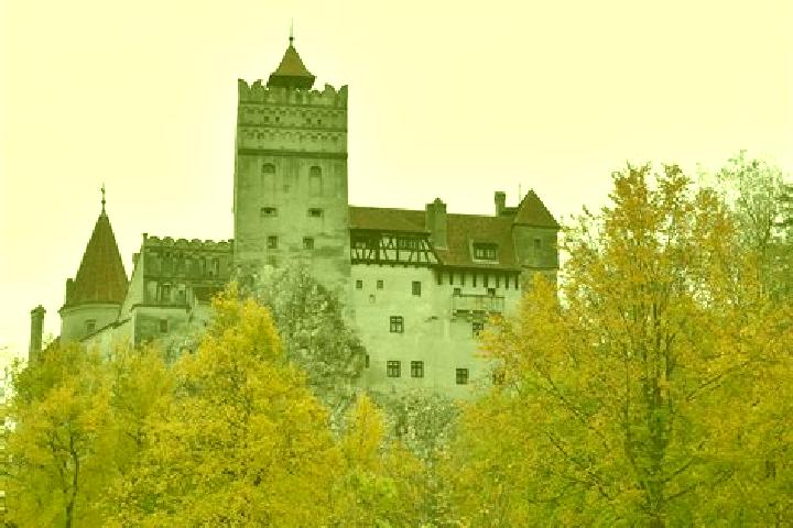 Escorts Forchtenstein, Austria — Local Companions