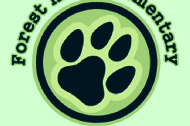 Escorts Forest Hills, Canada — Local Companions