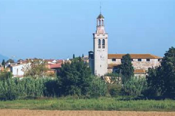 Escorts Fornells de la Selva, Spain — Local Companions