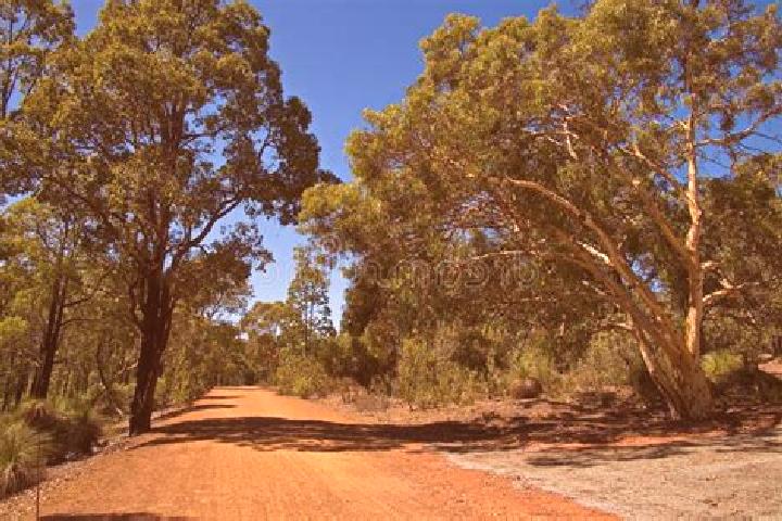 Escorts Forrest, Australia — Local Companions