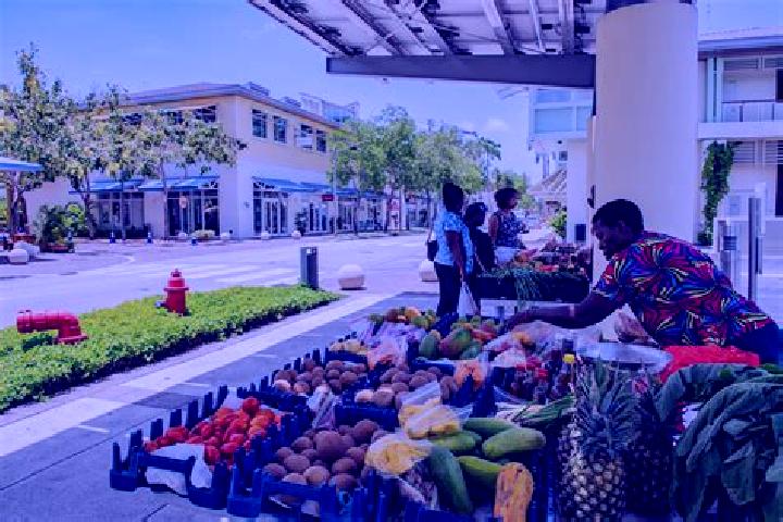 Escorts Foster Land, Cayman Islands — Local Companions
