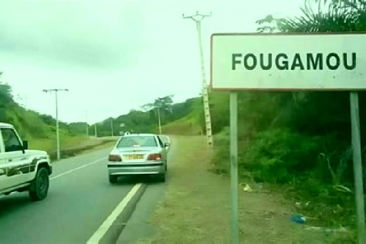 Escorts Fougamou, Gabon — Local Companions