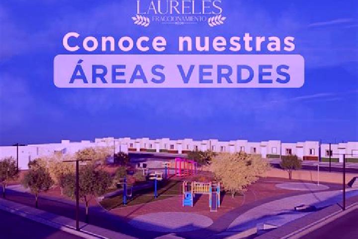 Escorts Fraccionamiento Laureles Erendira, Mexico — Local Companions