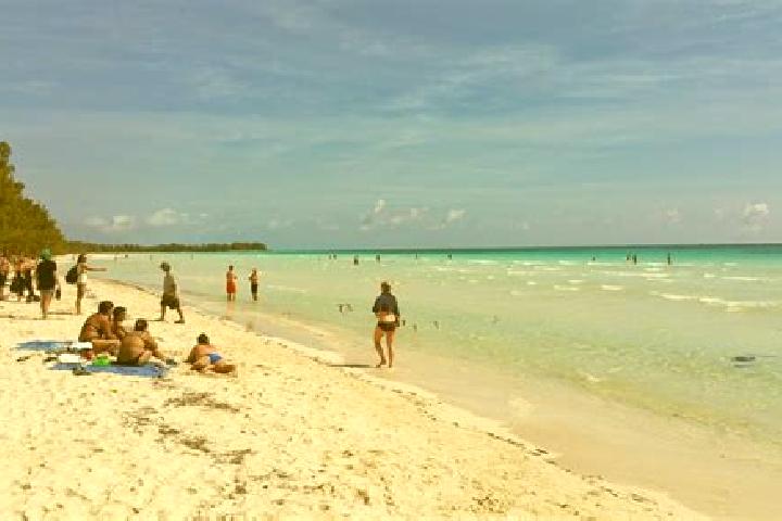 Escorts Freetown, Bahamas — Local Companions