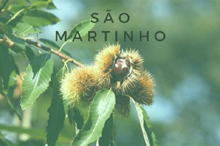 Escorts Frei Martinho, Brazil — Local Companions