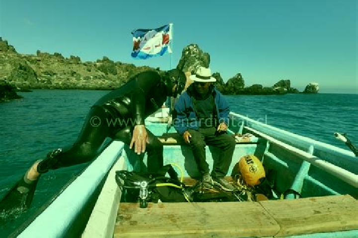 Escorts Freirina, Chile — Local Companions