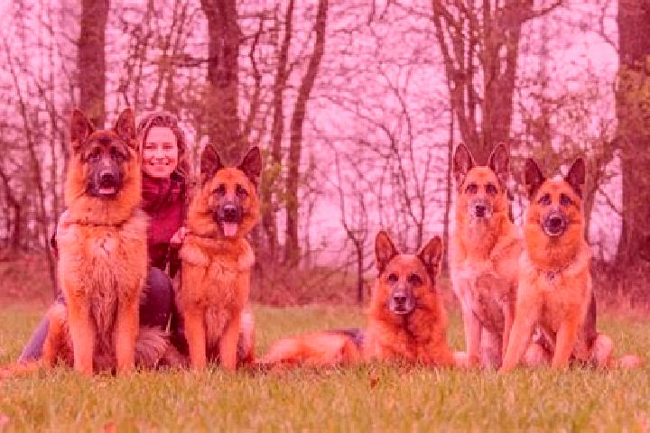 Escorts Friedenweiler, Germany — Local Companions