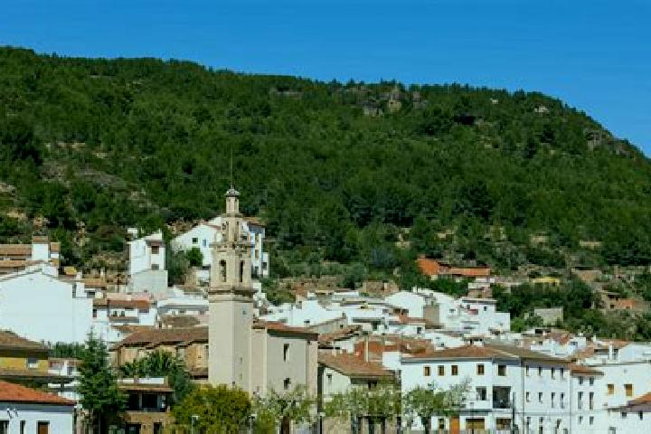 Escorts Fuentes de Ayodar, Spain — Local Companions