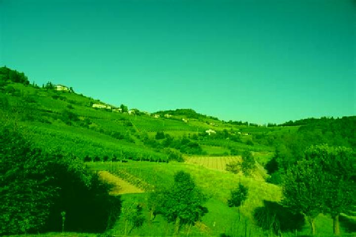 Escorts Fuipiano Valle Imagna, Italy — Local Companions