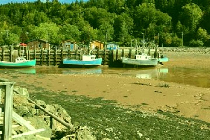 Escorts Fundy Heights, Canada — Local Companions