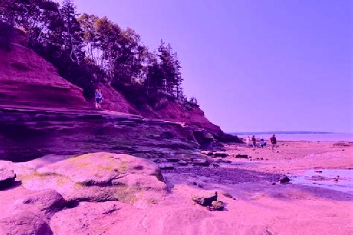 Escorts Fundy Shores, Canada — Local Companions