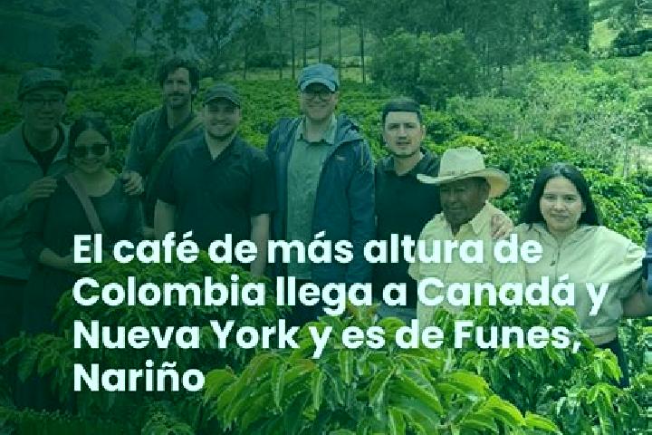 Escorts Funes, Colombia — Local Companions
