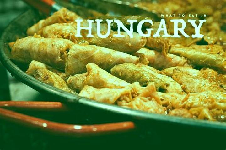 Escorts Fuzesabony, Hungary — Local Companions