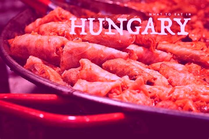 Escorts Fuzesgyarmat, Hungary — Local Companions