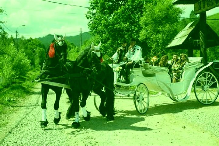 Escorts Galautas, Romania — Local Companions