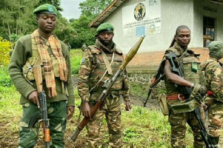 Escorts Gandajika, DR Congo — Local Companions