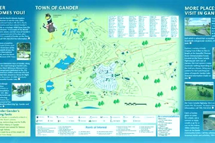 Escorts Gander, Canada — Local Companions