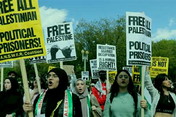 Escorts Ganei Modi in, Palestine — Local Companions
