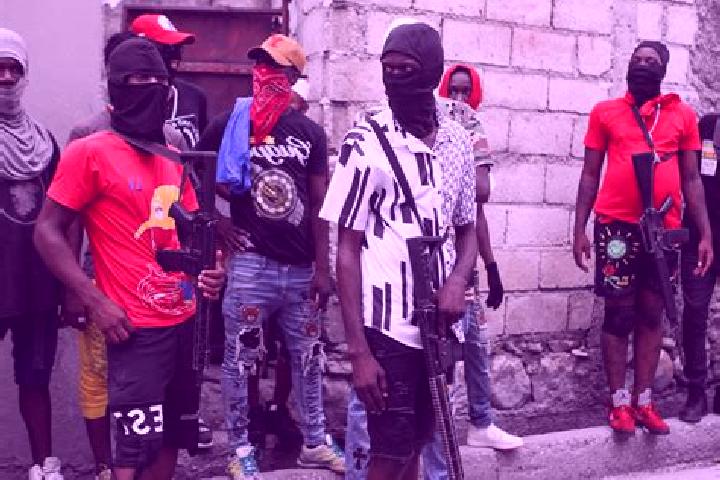 Escorts Gang, Philippines — Local Companions