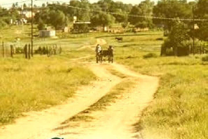 Escorts Ganyesa, South Africa — Local Companions