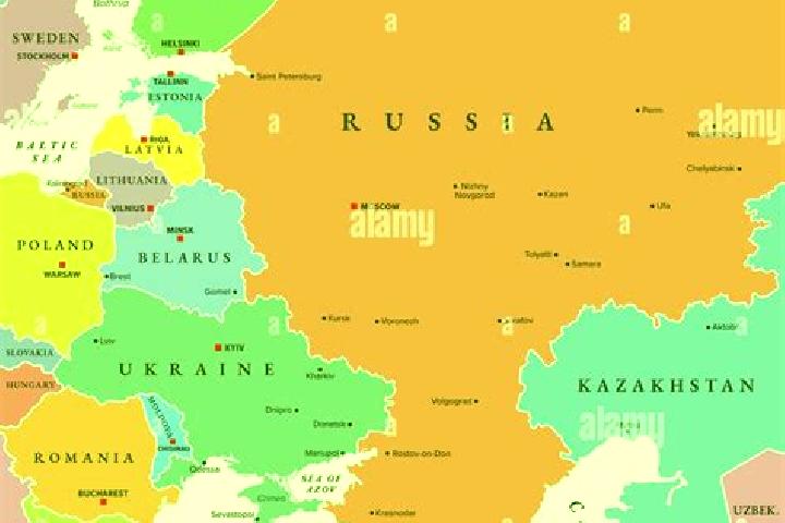 Escorts Garbolovo, Russia — Local Companions
